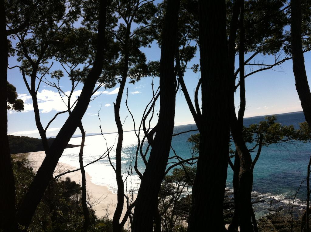 Hyams Beach - A Secret Treasure Room photo